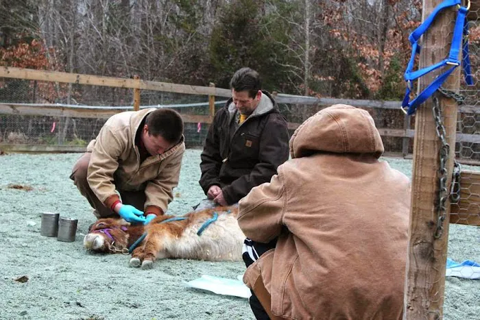 Flat River Veterinary Hospital Picture 2