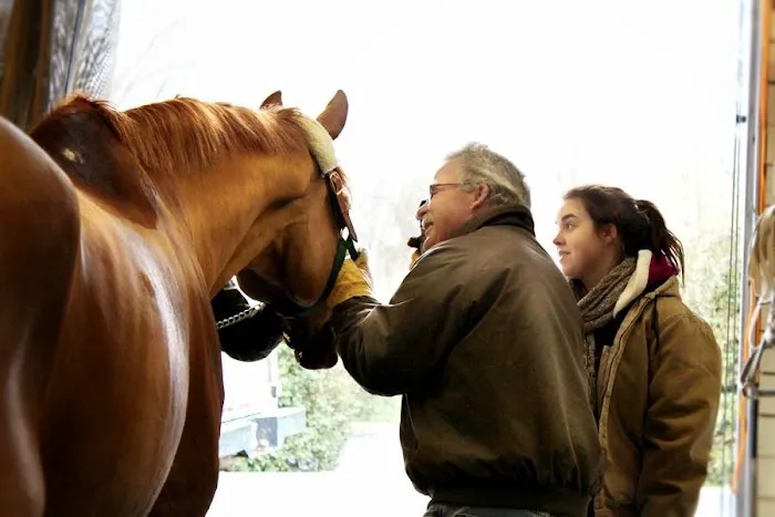 Flat River Veterinary Hospital Picture 7