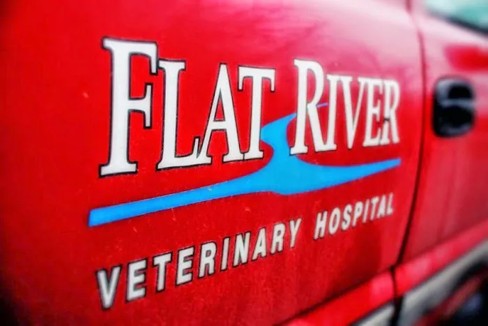 Flat River Veterinary Hospital Picture 6