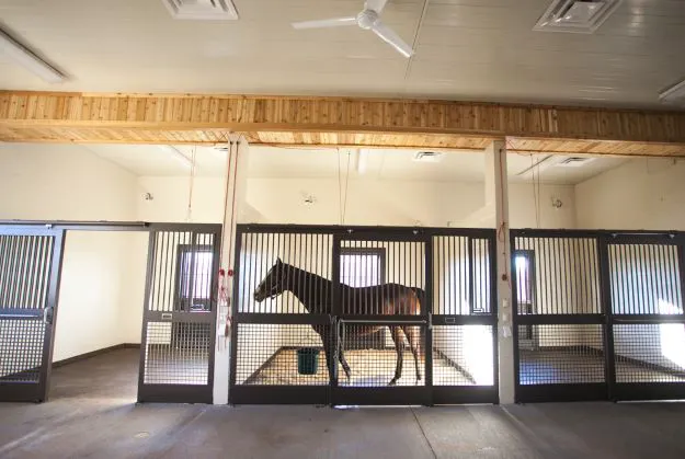 Carolina Equine Hospital Picture 2