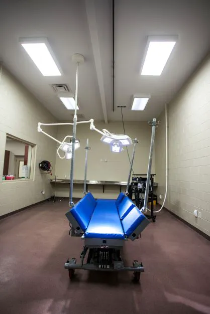Carolina Equine Hospital Picture 8