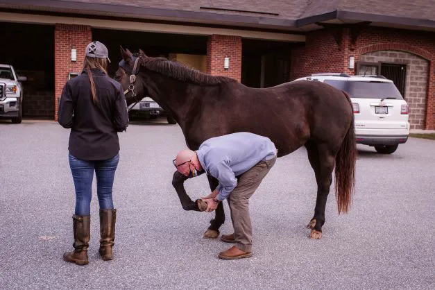 Carolina Equine Hospital Picture 9