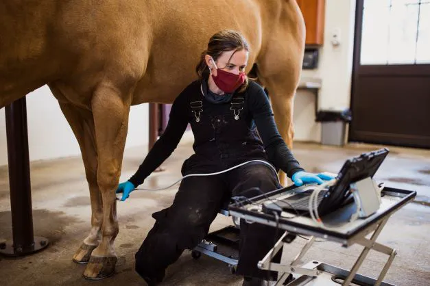 Carolina Equine Hospital Picture 7