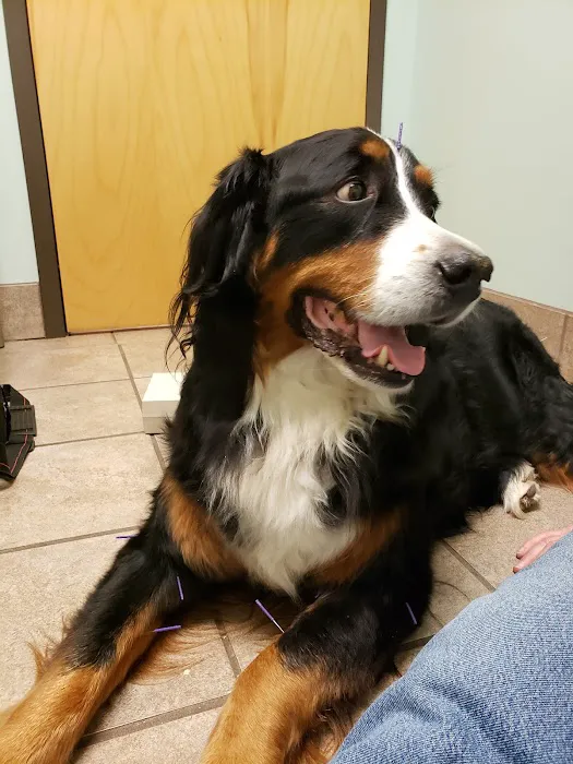 Lake Brandt Veterinary Hospital Picture 1