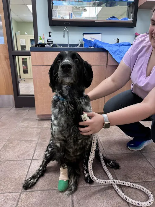 Lake Brandt Veterinary Hospital Picture 7