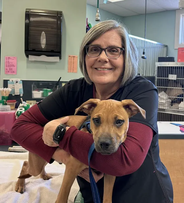 Lake Brandt Veterinary Hospital Picture 5