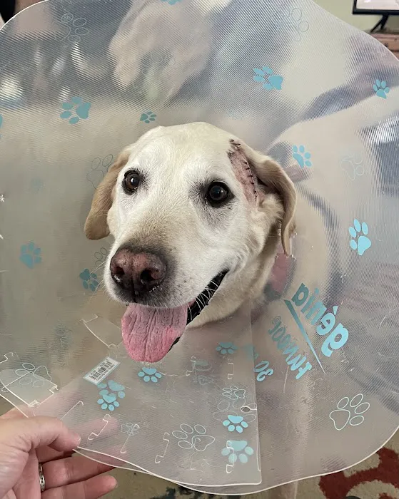 Lake Brandt Veterinary Hospital Picture 4