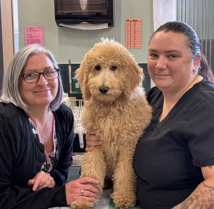 Lake Brandt Veterinary Hospital Picture 9