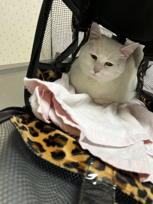 Northeast Veterinary Hospital Picture 1