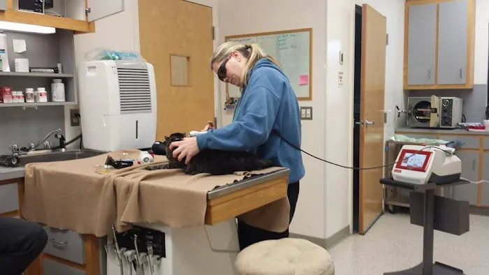 Northeast Veterinary Hospital Picture 3