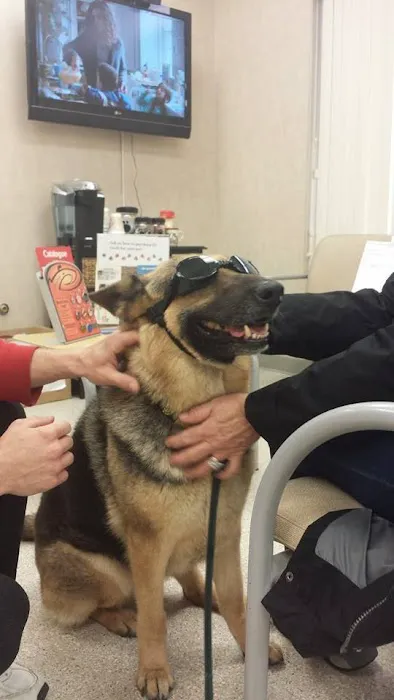 Northeast Veterinary Hospital Picture 2