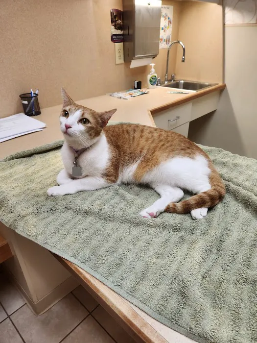 Gate City Animal Hospital Picture 1