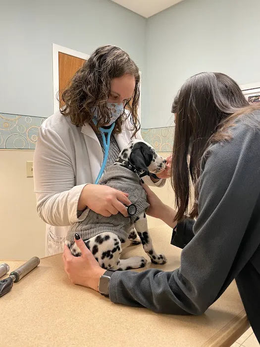 Gate City Animal Hospital Picture 10