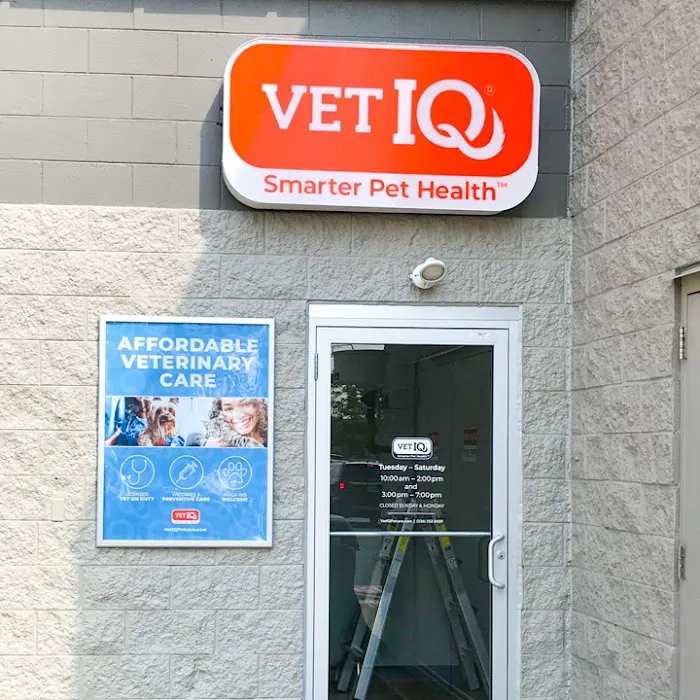 VetIQ Petcare Picture 5