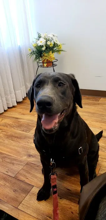 Phoenix Animal Hospital Picture 3
