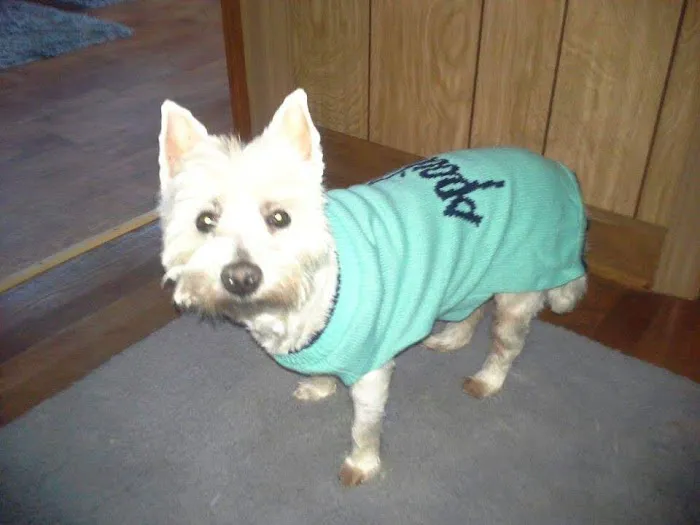 Phoenix Animal Hospital Picture 1