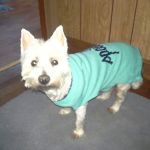 Phoenix Animal Hospital