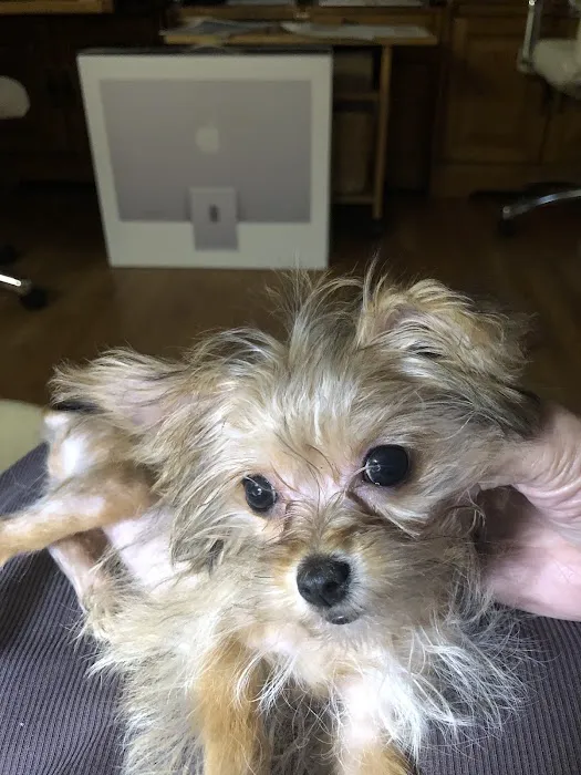 Phoenix Animal Hospital Picture 8