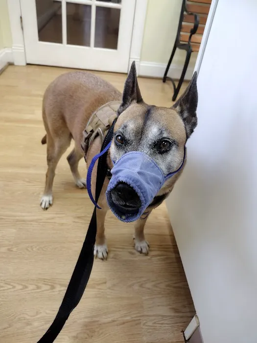 Orange Veterinary Clinic Picture 4