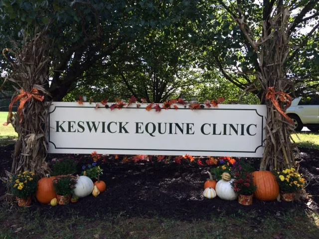 Keswick Equine Clinic Picture 1