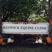 Keswick Equine Clinic ico