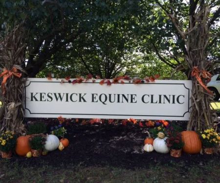 Keswick Equine Clinic