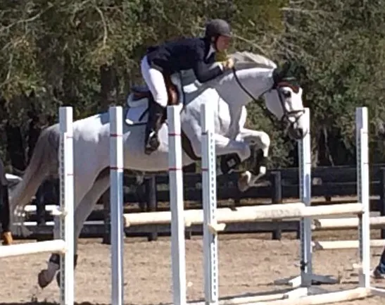 Keswick Equine Clinic Picture 3