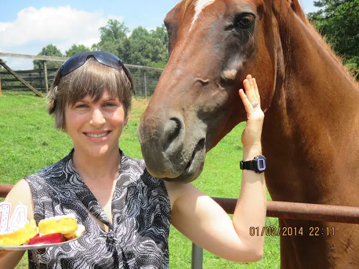 Keswick Equine Clinic Picture 6