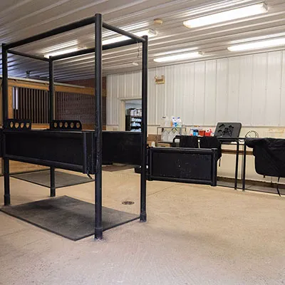 Keswick Equine Clinic Picture 8