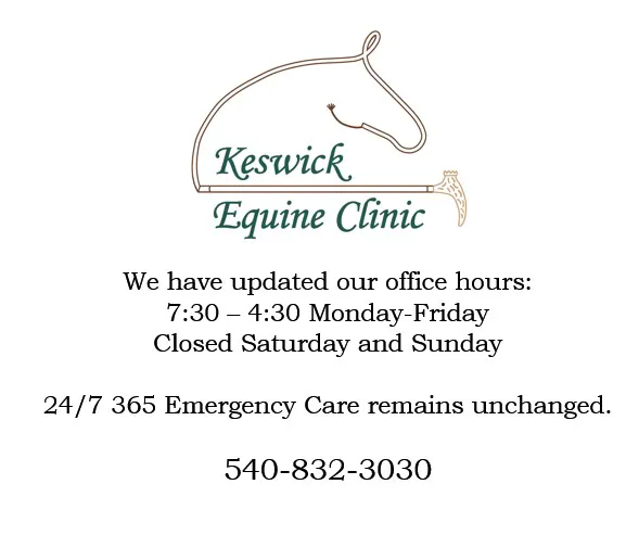 Keswick Equine Clinic Picture 5