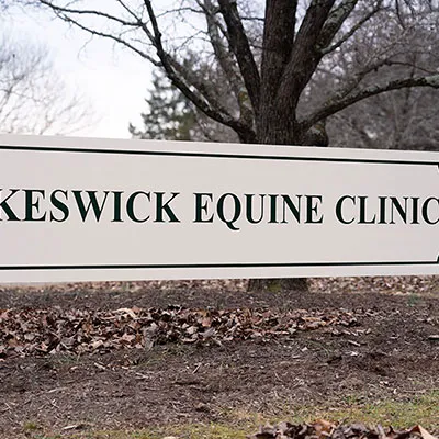 Keswick Equine Clinic Picture 9