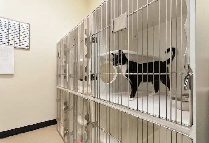 Crossroads Animal Hospital Picture 3
