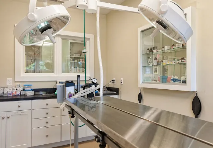 Crossroads Animal Hospital Picture 4