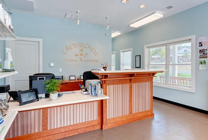 Crossroads Animal Hospital Picture 5