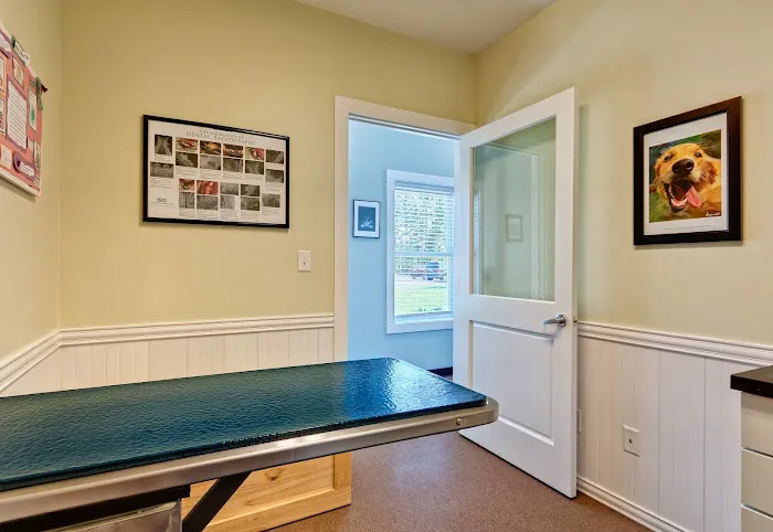 Crossroads Animal Hospital Picture 6
