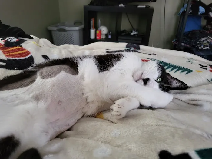 Richardson Animal Hospital Picture 8
