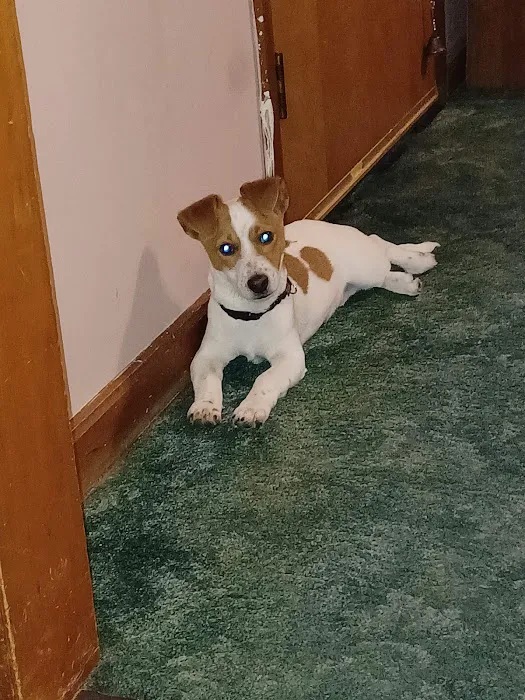 Richardson Animal Hospital Picture 10