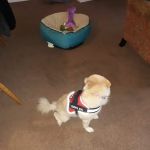 Twin Lakes Veterinary Hospital