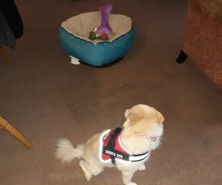 Twin Lakes Veterinary Hospital