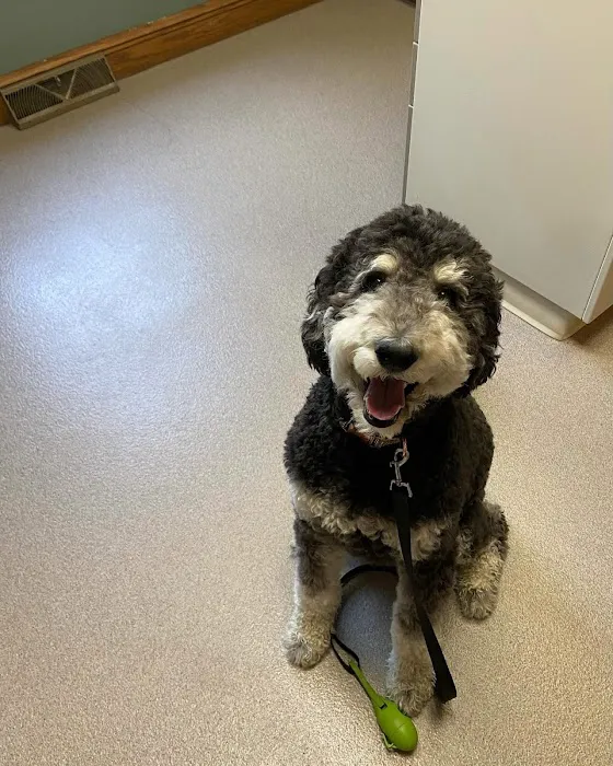 Twin Lakes Veterinary Hospital Picture 5