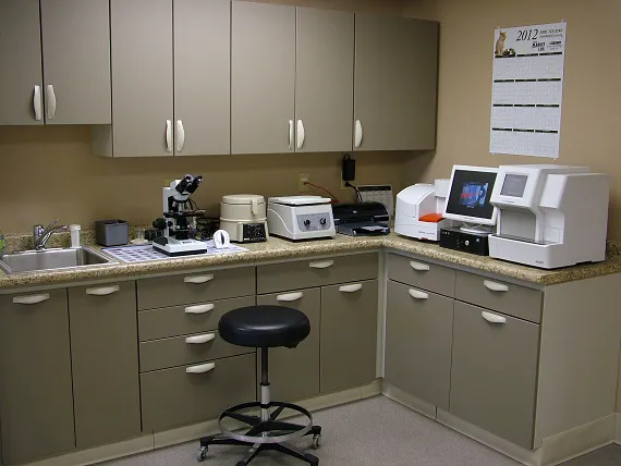 Twin Lakes Veterinary Hospital Picture 6