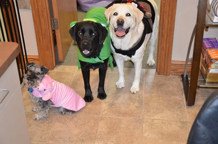 Twin Lakes Veterinary Hospital Picture 9