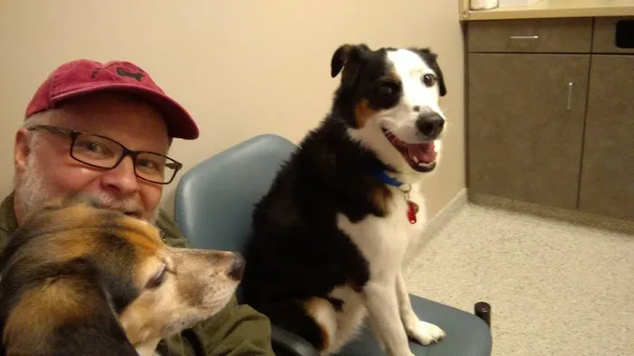 Memorial Animal Hospital Picture 2