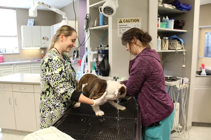 Memorial Animal Hospital Picture 1