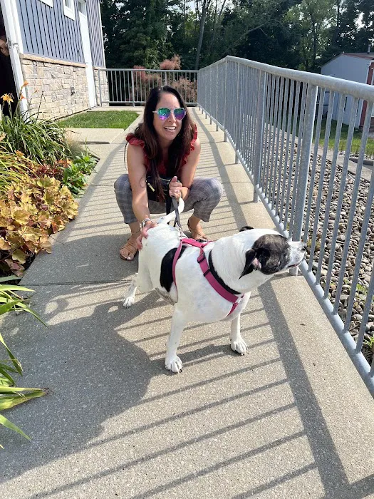 Memorial Animal Hospital: Sheil Julie A DVM Picture 1