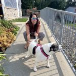 Memorial Animal Hospital: Sheil Julie A DVM