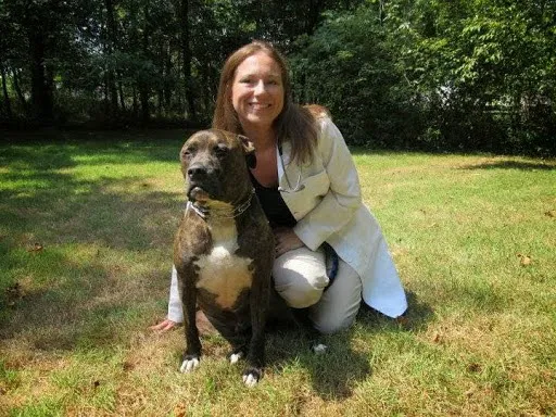 Rootstown Veterinary Hospital Picture 3