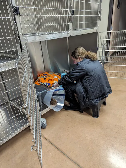 Rootstown Veterinary Hospital Picture 2