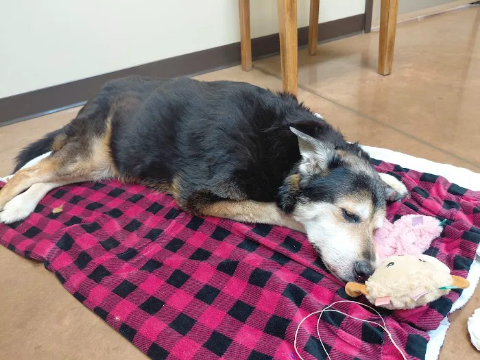 Rootstown Veterinary Hospital Picture 8
