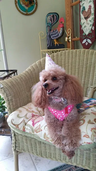 Primary Pet Care Picture 6